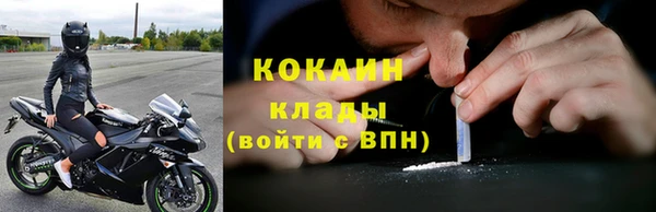 стафф Пересвет