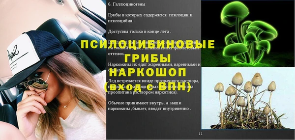 винт Алексин